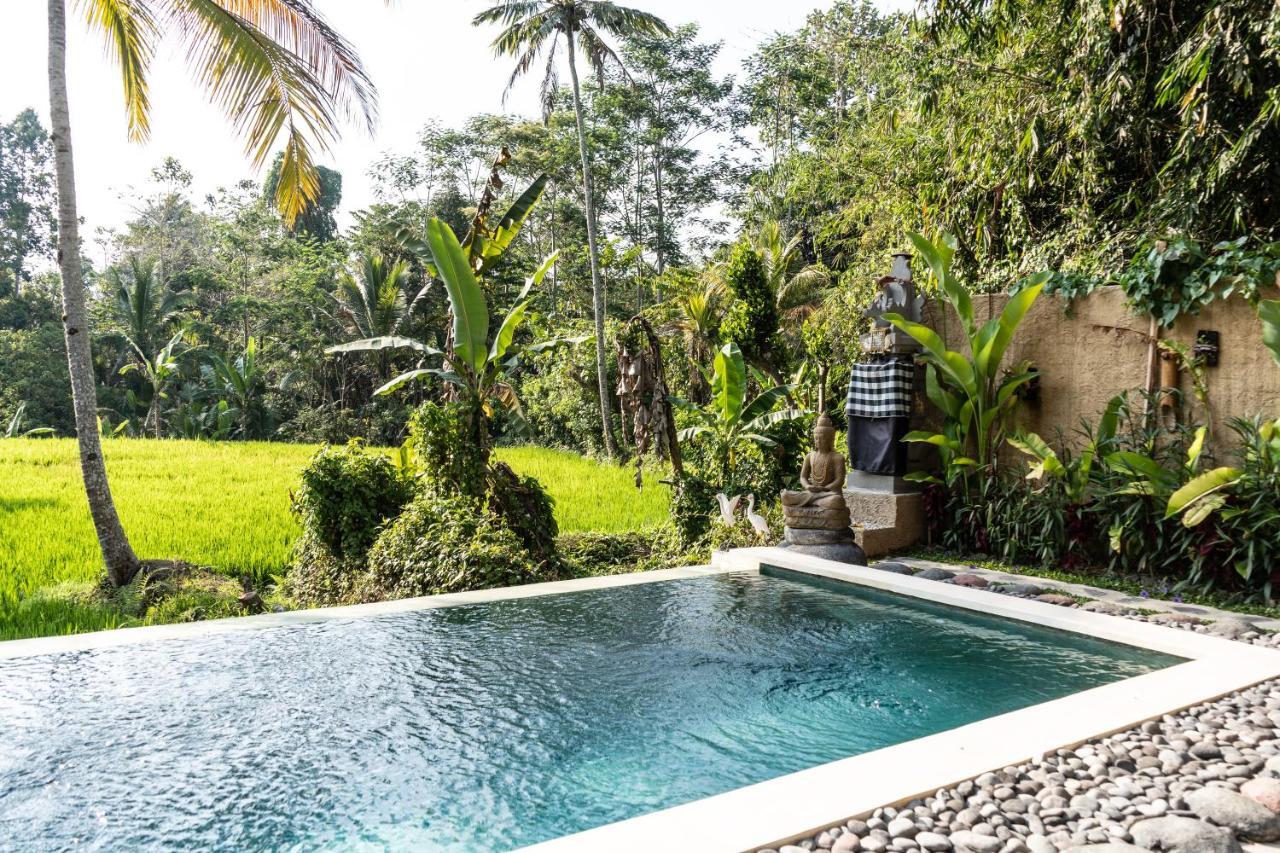 Bali Bamboo Jungle Huts And Hostel Tampaksiring Exterior foto
